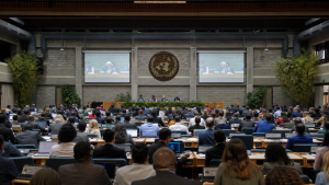 Major UN Bodies for Environment and Climate