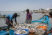 Marine Conservation and Fisheries Policies in India