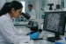 Nanotechnology: Concepts, Applications and National Policies in India