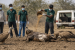 National Vulture Conservation Programme
