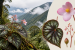 New Begonia Species Described from Arunachal Pradesh