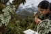 New Lichen Species Found in Mathikettan Shola National Park