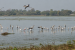 Ramsar Wetlands of International Importance