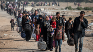 Refugee Law and Migrant Rights Compared