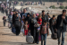 Refugee Law and Migrant Rights Compared