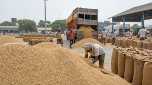Rice Procurement and Food-Security Support Schemes