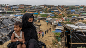 Rohingya Crisis: Timeline, Key Facts and International Responses