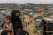 Rohingya Crisis: Timeline, Key Facts and International Responses