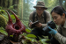 Scientists Discover Devil Flower Species in Thailand