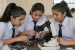 Stem Education Initiatives and Policies in India