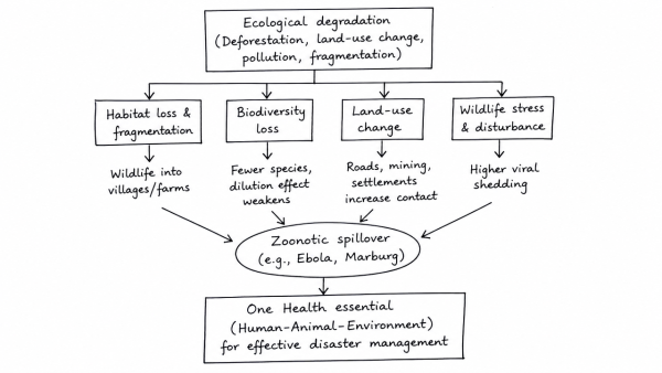 Taking example of recent filovirus outbreaks, discuss how ecological degradation accelerates zoonotic spillover. Why is the “One Health” framework indispensable for modern disaster management?