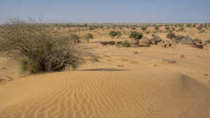 Thar Desert: Geography, Ecology and Human Adaptation
