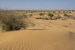 Thar Desert: Geography, Ecology and Human Adaptation