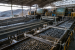 Types of Mineral Beneficiation Processes