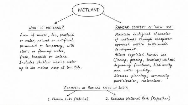 What is wetland? Explain the Ramsar concept of ‘wise use’ in the context of wetland conservation. Cite two examples of Ramsar sites from India. (UPSC 2018)