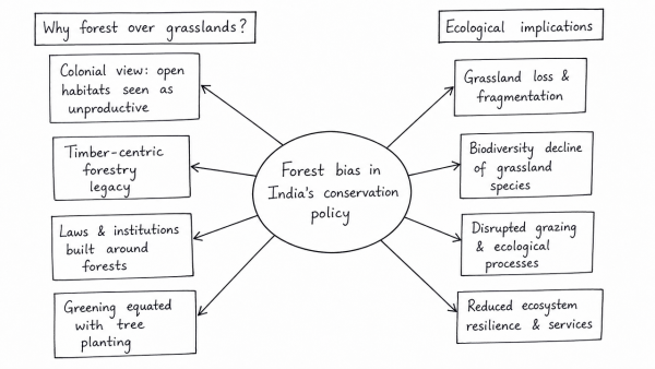 Why has India’s conservation policy historically favored forest ecosystems over grasslands? Critically discuss the ecological implications of this bias.