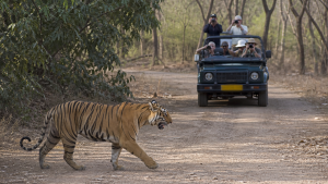 Wildlife and Biodiversity Acts, Rules and Notifications