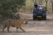 Wildlife and Biodiversity Acts, Rules and Notifications