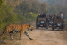 Wildlife Protection Act: Provisions, Amendments and Enforcement