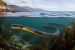 Yellow-Bellied Sea Snake Returns to California After Eight Years