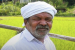 Cheruvayal Raman, Kerala’s Paddy Seed Conservator, Dies at 74