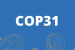 COP31 to Address the Global Climate Finance Gap