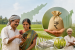 Andhra Pradesh releases second installment of ₹3,125 crore in aid to 46.85 lakh farmers