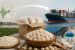 APEDA Facilitates Makhana Export from Purnea to Greece