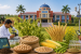 Bihar Agricultural University to Review Rabi Research and Sabour Chana-4