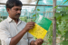 Biological Control Agents in Agriculture
