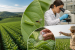 Brazil Expands Biological Control in Agriculture