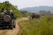 Community-Based Wildlife Tourism in India