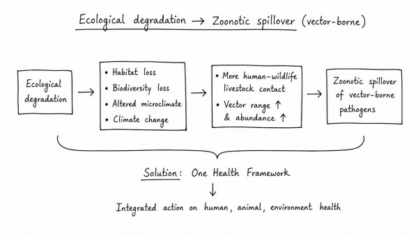 Critically discuss how ecological degradation accelerates zoonotic spillover of vector-borne pathogens. Explain why India needs a robust One Health framework to mitigate this risk.