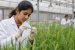 Important Agricultural Biotechnology Applications