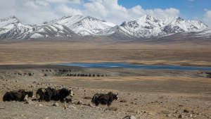 Important Features of the Tibetan Plateau and Its Climate