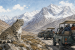Ladakh Launches India’s First High-Altitude Snow Leopard Safari