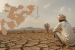 Maharashtra Declares Drought in 305 Talukas
