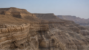 Major Sedimentary Basins of India