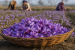 Major Spice Crops of India