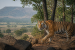 Nearly 100 Years Later, Tiger Spotted in Maharashtra’s Beed District