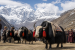 Sikkim Hosts First Himalayan Yak Festival in Gnathang Valley
